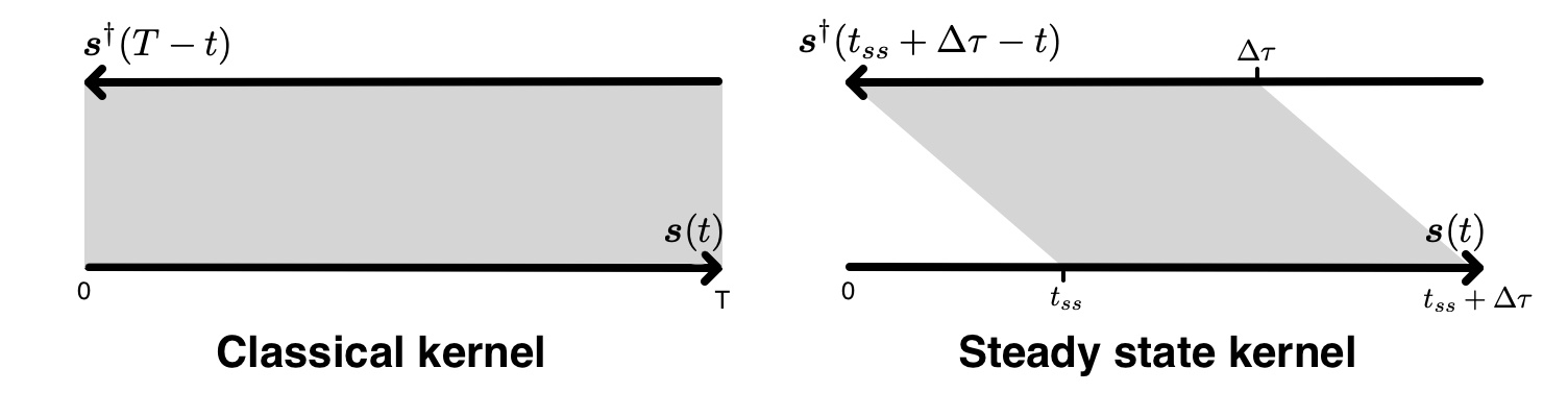 An illustration of computing steady state kernels. Instead of integrating the forward and adjoint wavefields from the beginning, a steady state kernel is computed by integrating the wavefields starting from the time when steady state is reached ($t_{ss}$).